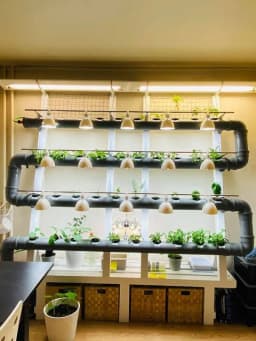 Köksodling, primärt mha hydrokultur (indoor hydroponics)